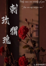 刺猬与玫瑰dj